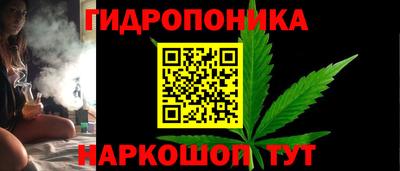 Альфа ПВП Лесосибирск
