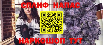 стаф Ливны