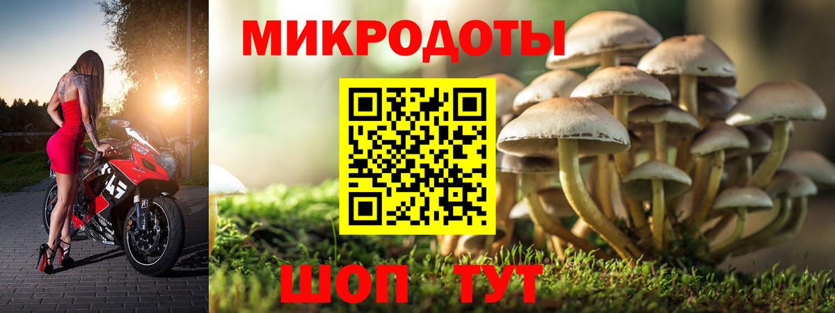 Галлюциногенные грибы мухоморы  Вход с VPN  Верхняя Салда 